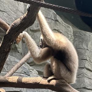 大话西游之未了情愫