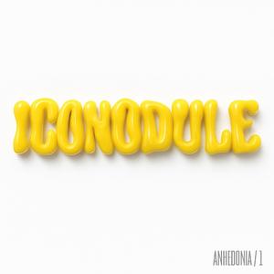 ICONODULE