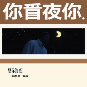 想你的夜 (Cover 关喆)