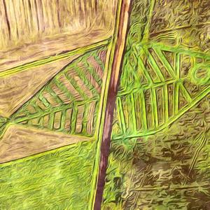 borders falling by land (feat. EricBeatz)