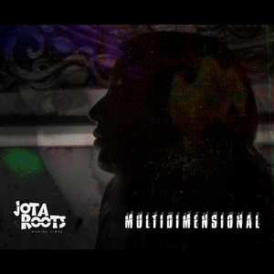 Multidimensional