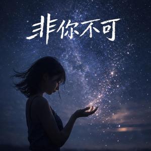 非你不可