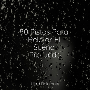 Meditación Consciente