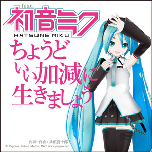 ちょうどいい加減に生きましょう