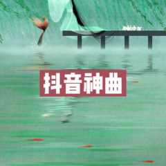 抖音最火车载电音 (嗨起来)