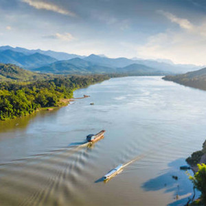 ກຸຫລາບໃນວັນແຫ່ງຄວາມຮັກ