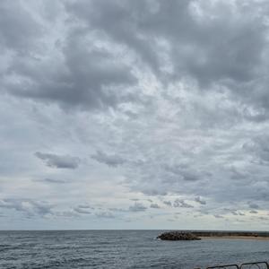 그런 카페 있을까