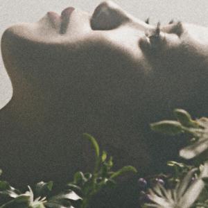 いつか風になる日