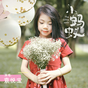 小蚂蚁 (伴奏)