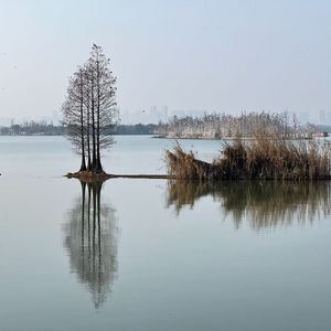 失去后才懂的愧疚