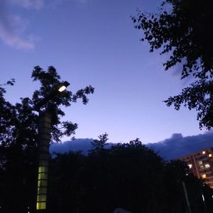 回到夏天（翻自 爱写歌的小田）