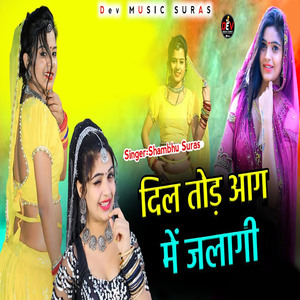 Dil Tod Aag Me Jalagi