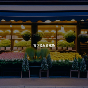 Jazz Organ Soundtrack for Dawns Light