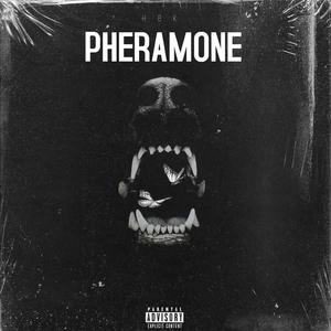 Pheramone