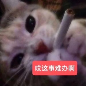 なんでもないや(钟琴ver.）