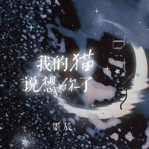 我的猫说想你啦