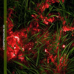 Descent Into Spasmodika