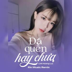 Đã Quên Hay Chưa - Rin Music Remix