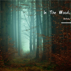 In The Woods