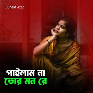 পাইলাম না তোর মন রে