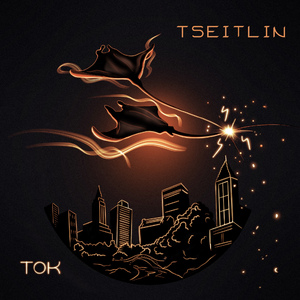 ТОК