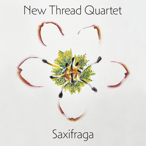 avalanche lily:IV. toward the rubicon / V. marcescence