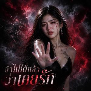 จำไม่ได้แล้วว่าเคยรัก