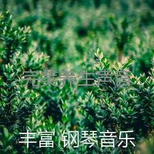 柔和的睡眠时刻