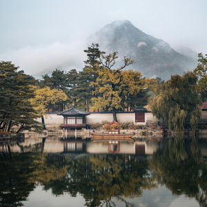 망중한(忙中閑)