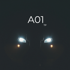 AO1