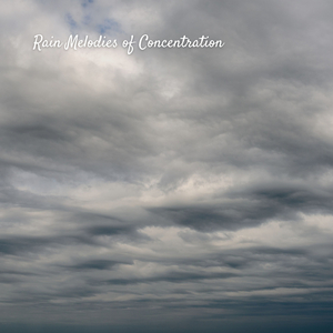 Happy Birds on Rainy Days