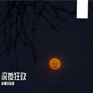 深夜狂欢(纯音乐)
