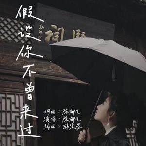 假设你不曾来过