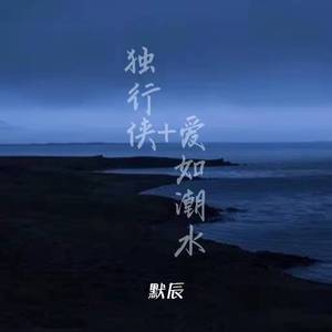 独行侠+爱如潮水（默辰 remix）