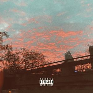 T R A N S P A R E N T