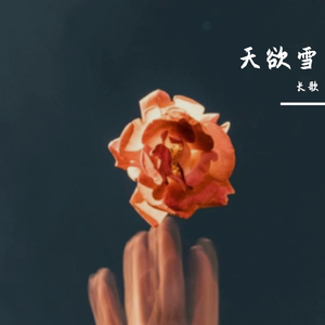 寻诗朝夕