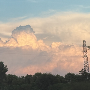 风梳过的黄昏与花（Prod Daisy Beat）