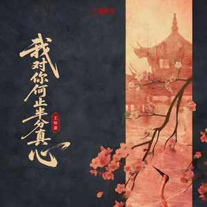 我对你何止半分真心（DJ弹鼓版）