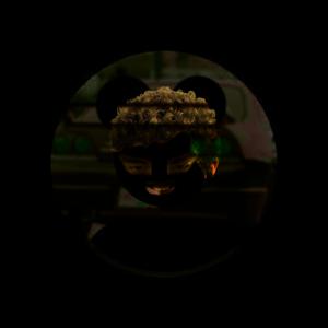 (•̪●)=/̵/’̿̿ ̿ ̿ ̿ ̿