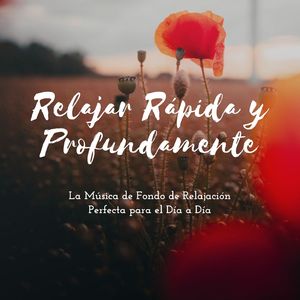 Quedarse Dormido Rápidamente