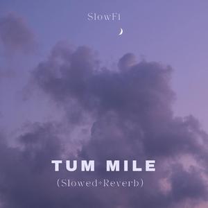 Tum Mile (Slowed+Reverb)