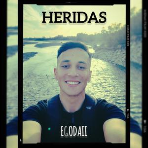 HERIDAS