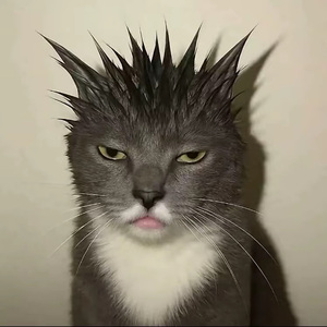 比陌生人更懂分寸