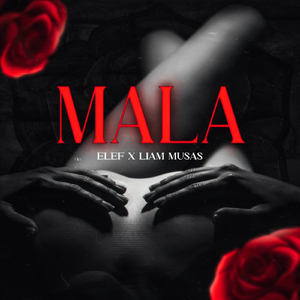 Mala (feat. Liam Musas)