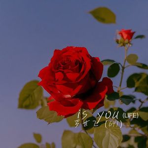is you (LIFE)