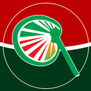 হাত পাখা মার্কা