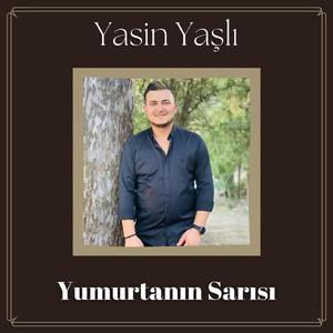 Yumurtanın Sarısı