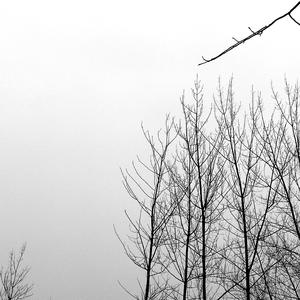 那个短发姑娘（Demo）