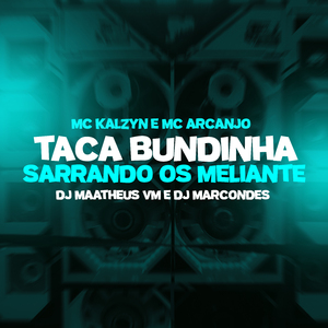 Taca bundinha - sarrando os meliante