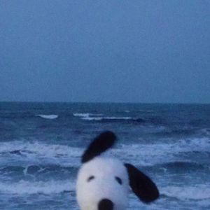 可惜春风不懂我伤悲（苦情版）